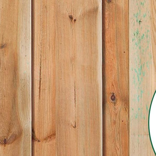 https://cdn.warentuin.nl/media/catalog/product/D/R/DROP8715815500189_01_tuindeur_solide_grenen_90_cm_tuindeco_8dbd.jpg