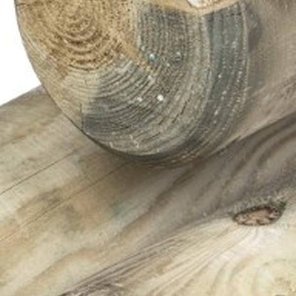 https://cdn.warentuin.nl/media/catalog/product/D/R/DROP8715815518436_01_ronde_paal_10_0x300_cm_tuindeco_e207.jpg