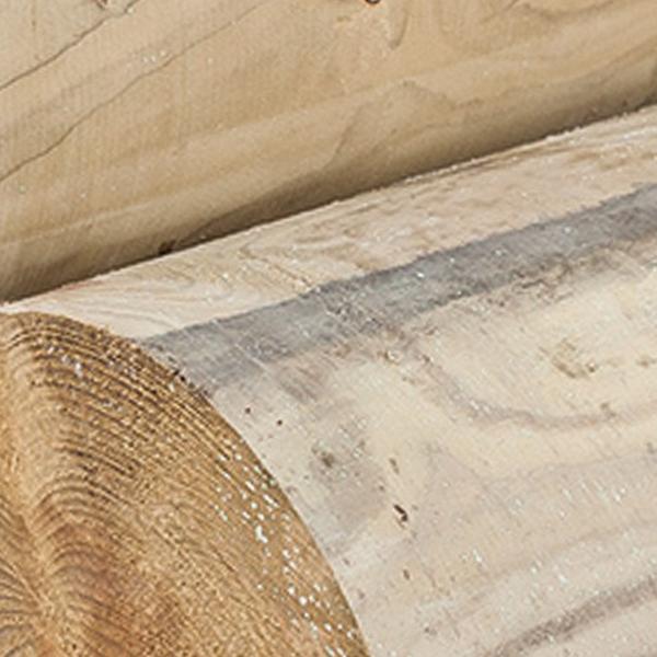 https://cdn.warentuin.nl/media/catalog/product/D/R/DROP8715815518610_01_ronde_paal_14_0x500_cm_tuindeco_614e.jpg