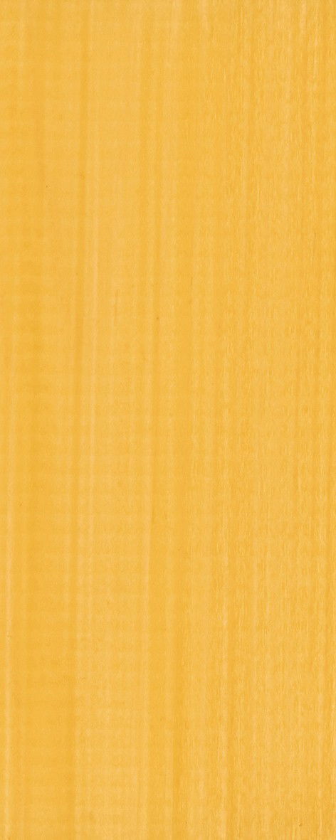 https://cdn.warentuin.nl/media/catalog/product/D/R/DROP8715815541991_01_carefree_protect_pine_1_liter_tuindeco_56b7.jpg
