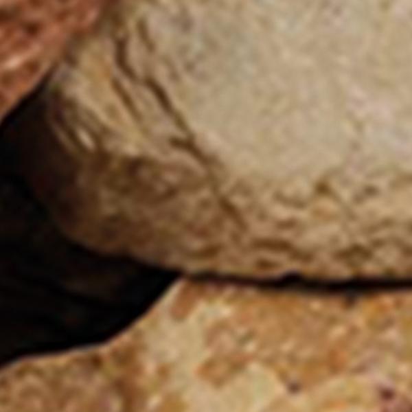 https://cdn.warentuin.nl/media/catalog/product/D/R/DROP8715815649789_01_grauwacke_tuindeco_95cb.jpg