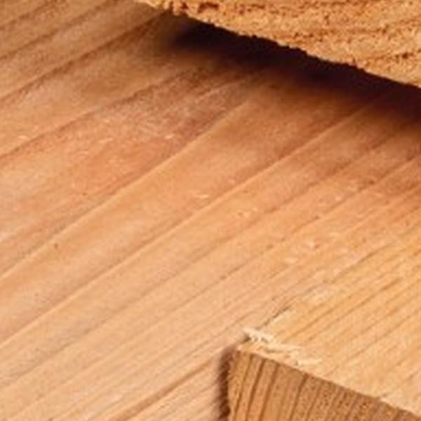 https://cdn.warentuin.nl/media/catalog/product/D/R/DROP8715815650914_01_ligger_douglas_7_0x25_0x600_cm_tuindeco_ac72.jpg