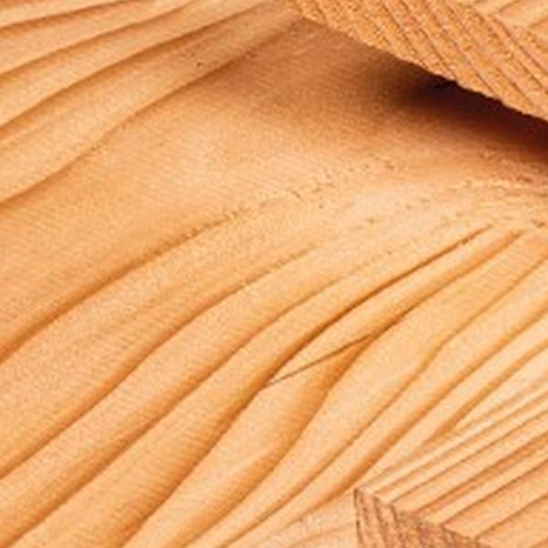 https://cdn.warentuin.nl/media/catalog/product/D/R/DROP8715815651645_01_plank_douglas_1_9x19_0x400_cm_tuindeco_5ae6.jpg