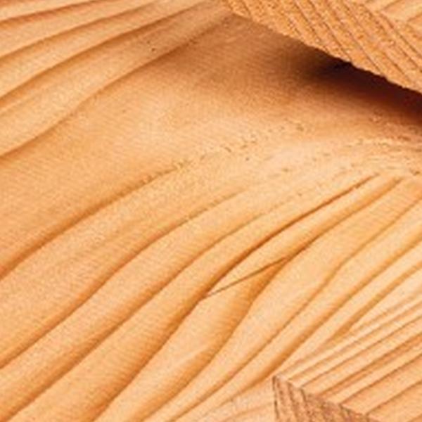 https://cdn.warentuin.nl/media/catalog/product/D/R/DROP8715815651676_01_plank_douglas_1_9x19_0x500_cm_tuindeco_6dec.jpg