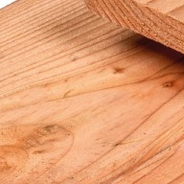 https://cdn.warentuin.nl/media/catalog/product/D/R/DROP8715815652390_01_plank_douglas_1_6x14_0x300_cm_tuindeco_7f3b.jpg