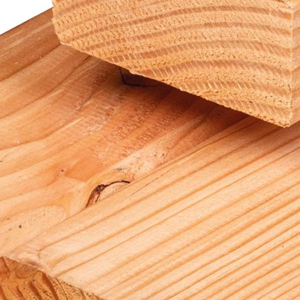 https://cdn.warentuin.nl/media/catalog/product/D/R/DROP8715815656411_01_regel_douglas_4_5x9_0x500_cm_tuindeco_9f80.jpg