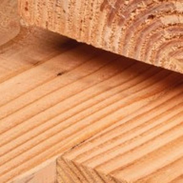 https://cdn.warentuin.nl/media/catalog/product/D/R/DROP8715815656787_01_ligger_douglas_6_5x16_0x600_cm_tuindeco_a51c.jpg