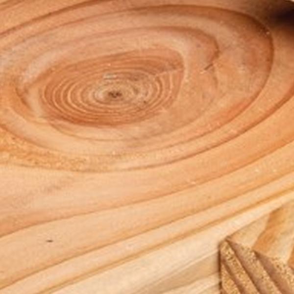 https://cdn.warentuin.nl/media/catalog/product/D/R/DROP8715815656893_01_ligger_douglas_6_5x19_0x400_cm_tuindeco_aefb.jpg