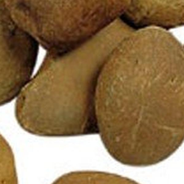 https://cdn.warentuin.nl/media/catalog/product/D/R/DROP8718247591602_01_gardenlux_morane_rond_bont_10_20_cm_mk_mini_bigbag_keien_7_6856.jpg