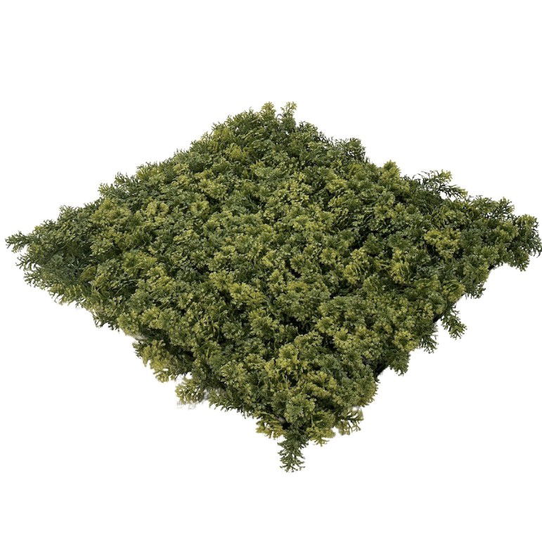 Wandplant l1b1m moss-mix2 per m2