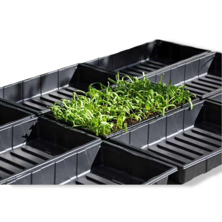 https://cdn.warentuin.nl/media/catalog/product/D/R/DROP8719214382506_01_royal_well_seed_tray_37_5_x_23_x_6_cm_set_a__53da.jpg