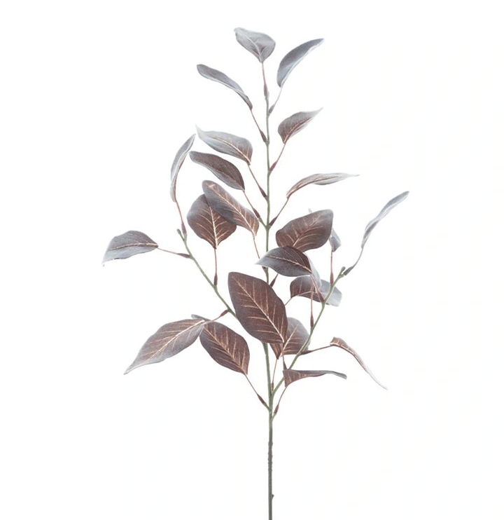 https://cdn.warentuin.nl/media/catalog/product/F/l/Flocked_eucalyptus_spray_brown_72_cm_3686.png