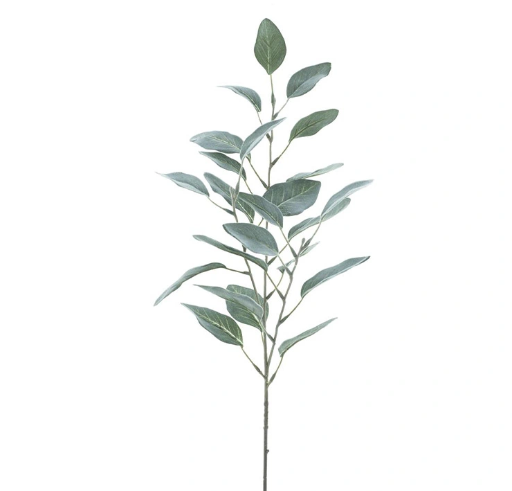 https://cdn.warentuin.nl/media/catalog/product/F/l/Flocked_eucalyptus_spray_green_72_cm_8066.png