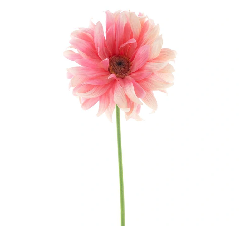 https://cdn.warentuin.nl/media/catalog/product/G/e/Gerbera_spray_Lotte_pink_76_cm_kunstbloem_4676.png