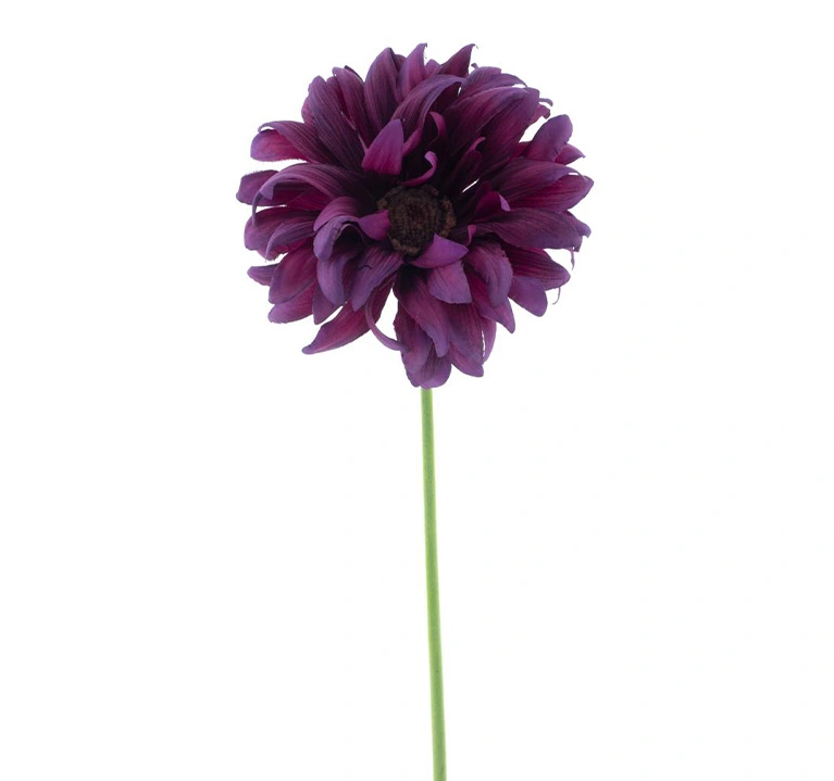 https://cdn.warentuin.nl/media/catalog/product/G/e/Gerbera_spray_Lotte_purple_76_cm_41f7.png