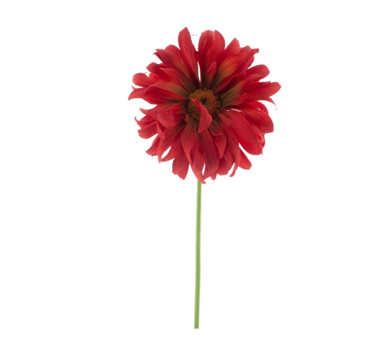 https://cdn.warentuin.nl/media/catalog/product/G/e/Gerbera_spray_Lotte_red_76_cm_f23e.png