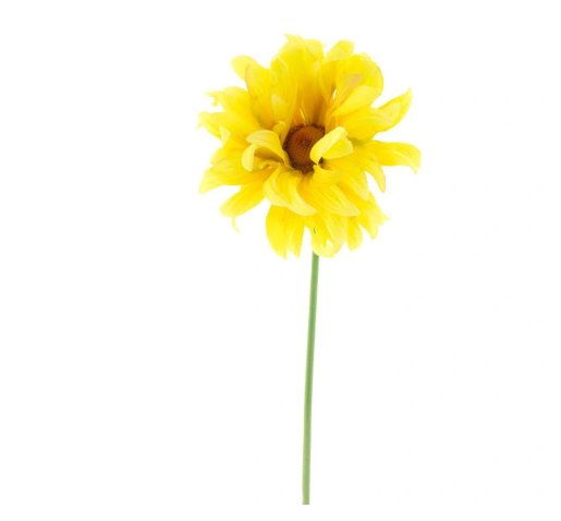 https://cdn.warentuin.nl/media/catalog/product/G/e/Gerbera_spray_Lotte_yellow_76_cm_2d47.png