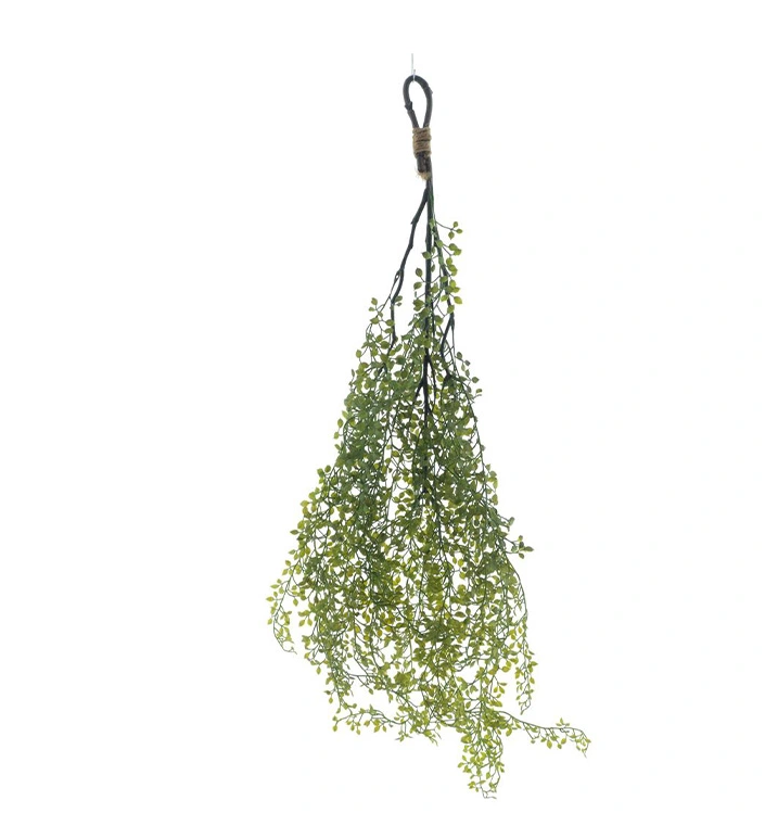 https://cdn.warentuin.nl/media/catalog/product/H/a/Hanging_button_leaf_dk_green_95_cm_cc7c.png