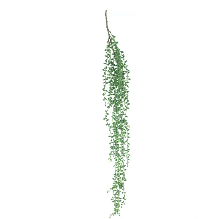 https://cdn.warentuin.nl/media/catalog/product/H/a/Hanging_senecio_spray_green_86_cm_ce0a.png