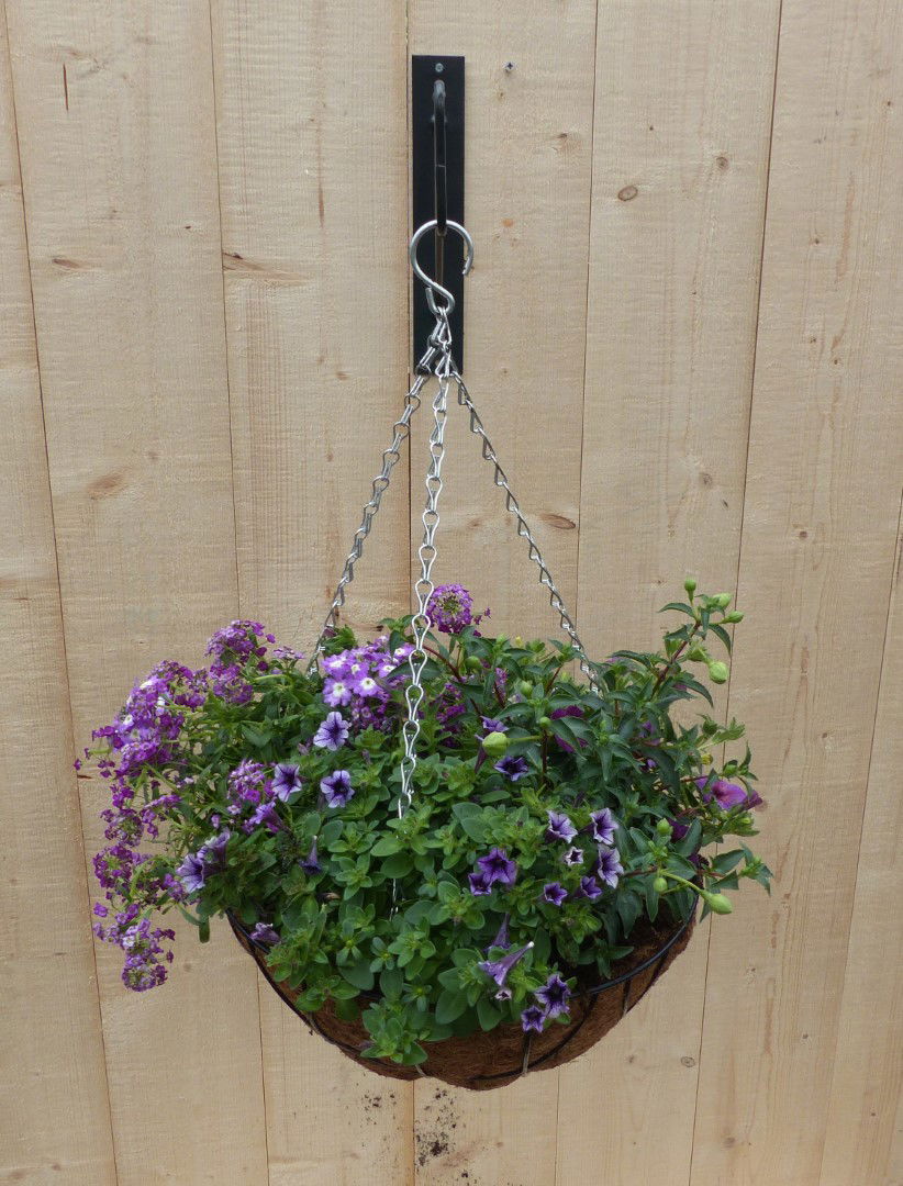 https://cdn.warentuin.nl/media/catalog/product/L/E/LEVE8149900043324_01_warentuin_natuurlijk_plantenbak_hanging_basket_zomerbloeie_85cd.JPG