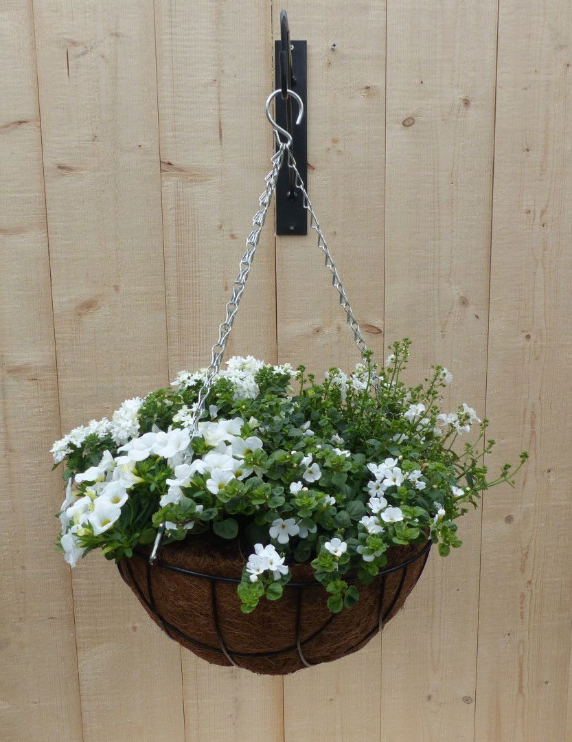 https://cdn.warentuin.nl/media/catalog/product/L/E/LEVE8149900043327_warentuin_natuurlijk_plantenbak_hanging_basket_zomerbloeiers__f4e2.JPG