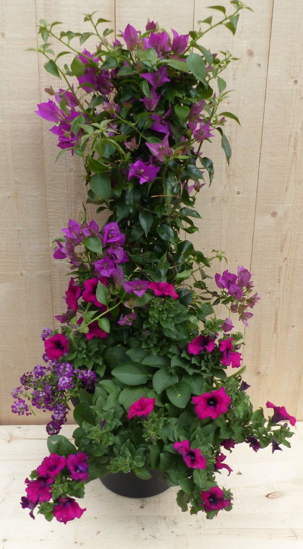 https://cdn.warentuin.nl/media/catalog/product/L/E/LEVE8149900043328_warentuin_natuurlijk_plantenbak_plastic_plantenbak_antraciet__78bb.JPG