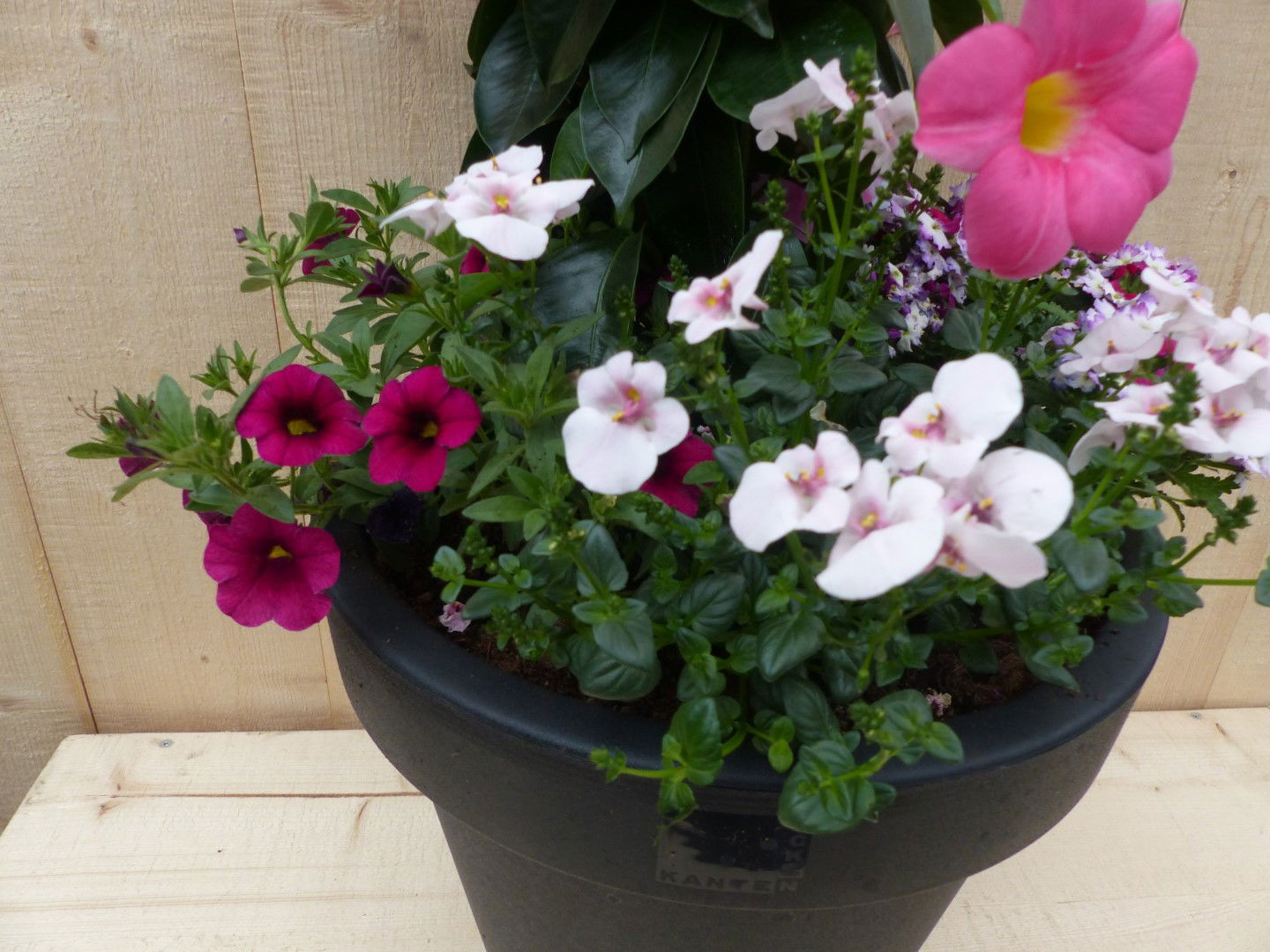 https://cdn.warentuin.nl/media/catalog/product/L/E/LEVE8149900043330_01_warentuin_natuurlijk_plantenbak_plastic_plantenbak_antraci_66ef.JPG