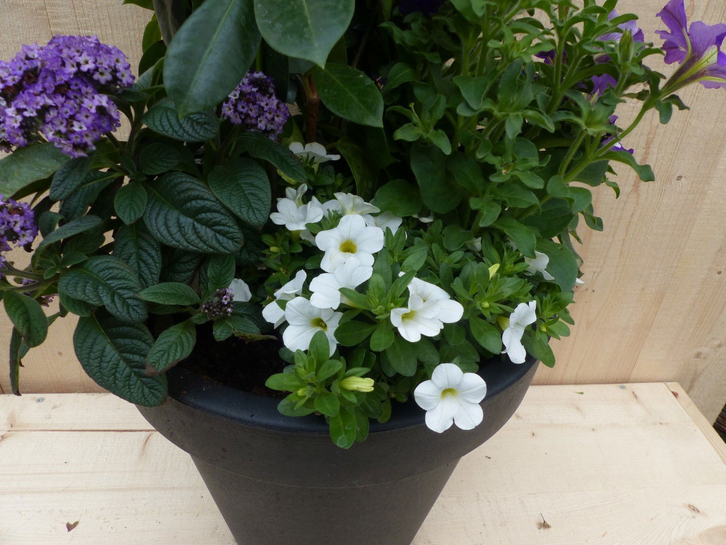 https://cdn.warentuin.nl/media/catalog/product/L/E/LEVE8149900043331_01_warentuin_natuurlijk_plantenbak_plastic_plantenbak_antraci_e6e9.JPG