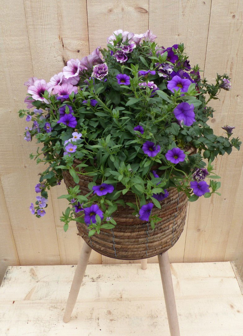 https://cdn.warentuin.nl/media/catalog/product/L/E/LEVE8149900043335_01_warentuin_natuurlijk_plantenbak_rieten_plantenbak_bruin_op_2866.JPG