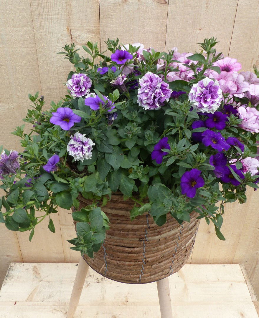 https://cdn.warentuin.nl/media/catalog/product/L/E/LEVE8149900043336_01_warentuin_natuurlijk_plantenbak_rieten_plantenbak_bruin_op_697a.JPG