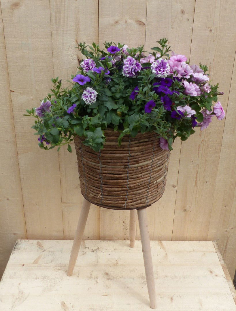 https://cdn.warentuin.nl/media/catalog/product/L/E/LEVE8149900043336_warentuin_natuurlijk_plantenbak_rieten_plantenbak_bruin_op_po_80e5.JPG