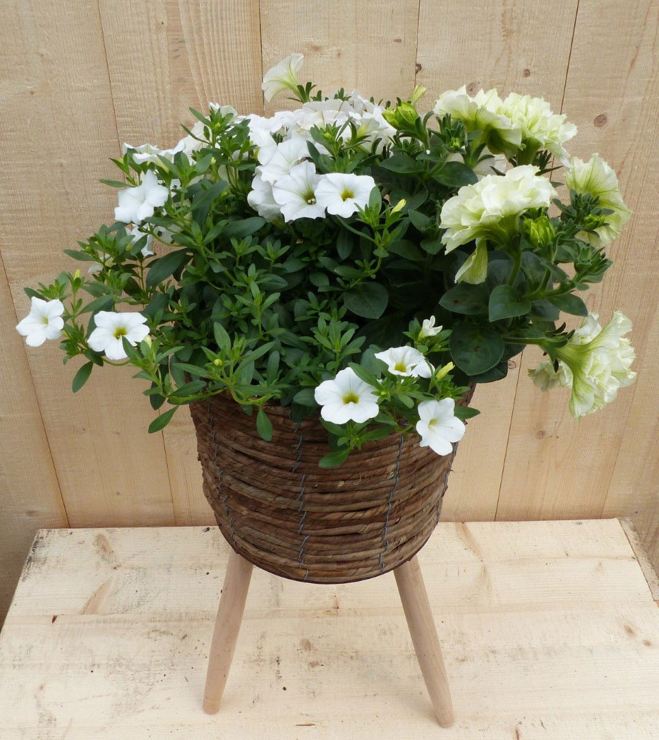 https://cdn.warentuin.nl/media/catalog/product/L/E/LEVE8149900043337_01_warentuin_natuurlijk_plantenbak_rieten_plantenbak_bruin_op_013a.JPG