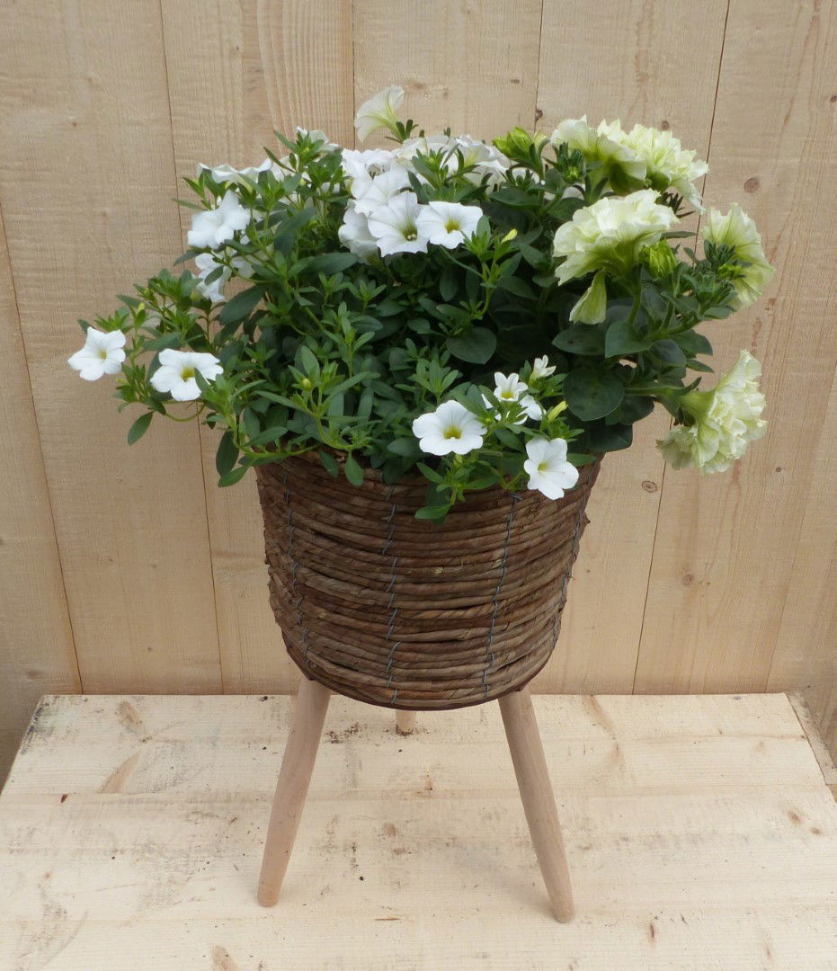 https://cdn.warentuin.nl/media/catalog/product/L/E/LEVE8149900043337_warentuin_natuurlijk_plantenbak_rieten_plantenbak_bruin_op_po_c368.JPG