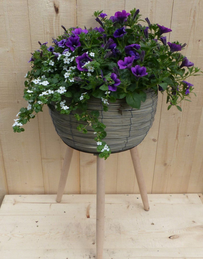 https://cdn.warentuin.nl/media/catalog/product/L/E/LEVE8149900043338_warentuin_natuurlijk_plantenbak_rieten_plantenbak_grijs_op_po_1c53.JPG