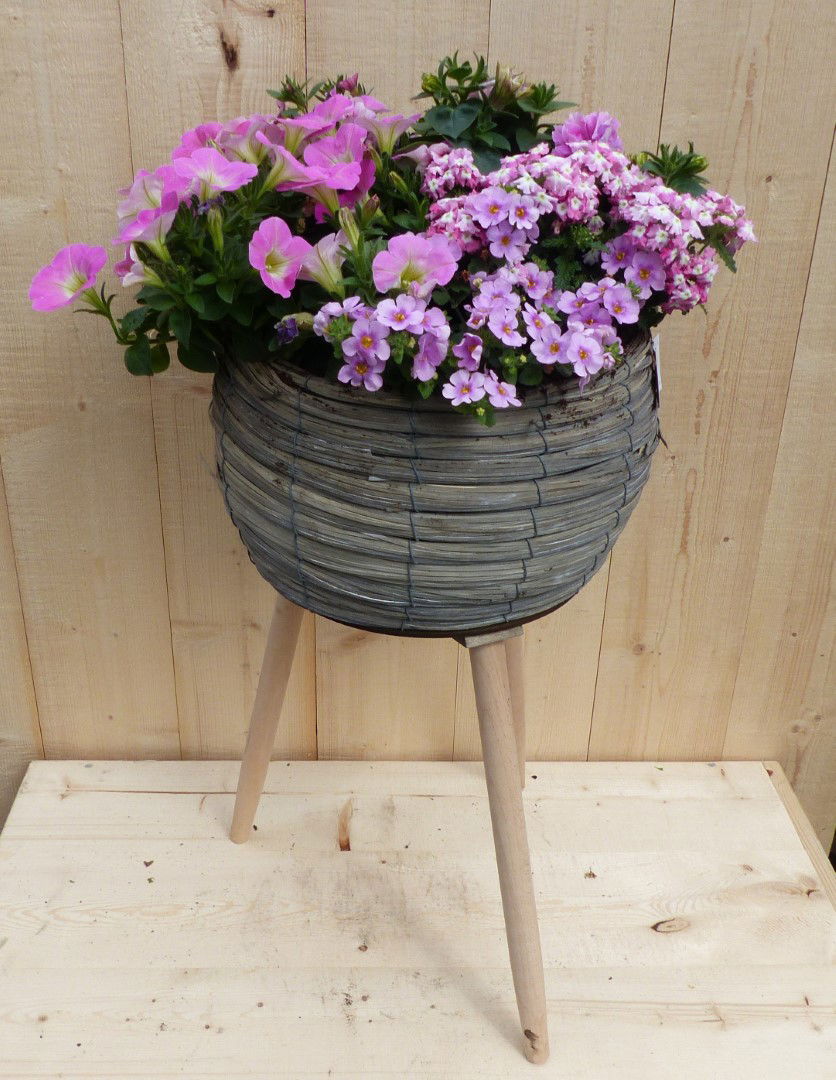 https://cdn.warentuin.nl/media/catalog/product/L/E/LEVE8149900043339_01_warentuin_natuurlijk_plantenbak_rieten_plantenbak_grijs_op_b82d.JPG