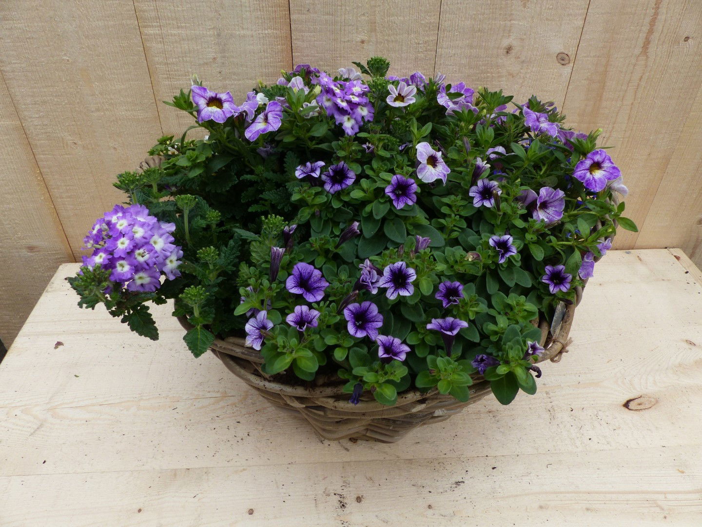 https://cdn.warentuin.nl/media/catalog/product/L/E/LEVE8149900043341_01_warentuin_natuurlijk_plantenbak_rieten_mand_zomerbloeiers__d287.JPG