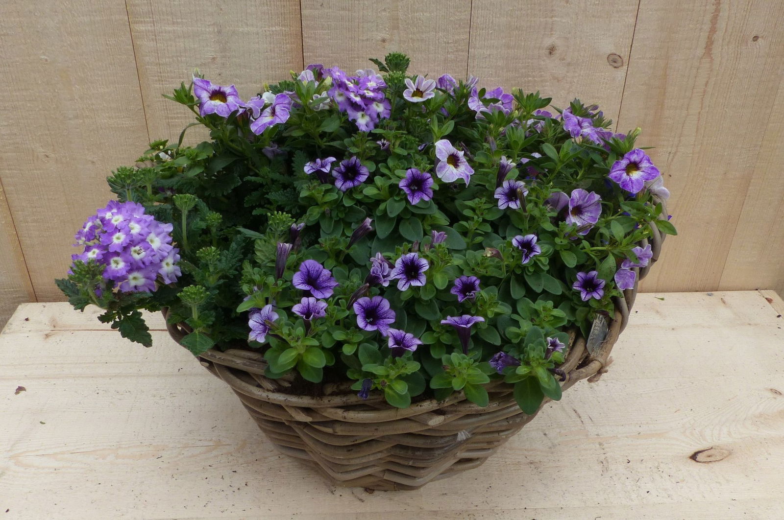 https://cdn.warentuin.nl/media/catalog/product/L/E/LEVE8149900043341_warentuin_natuurlijk_plantenbak_rieten_mand_zomerbloeiers_paa_c53a.JPG