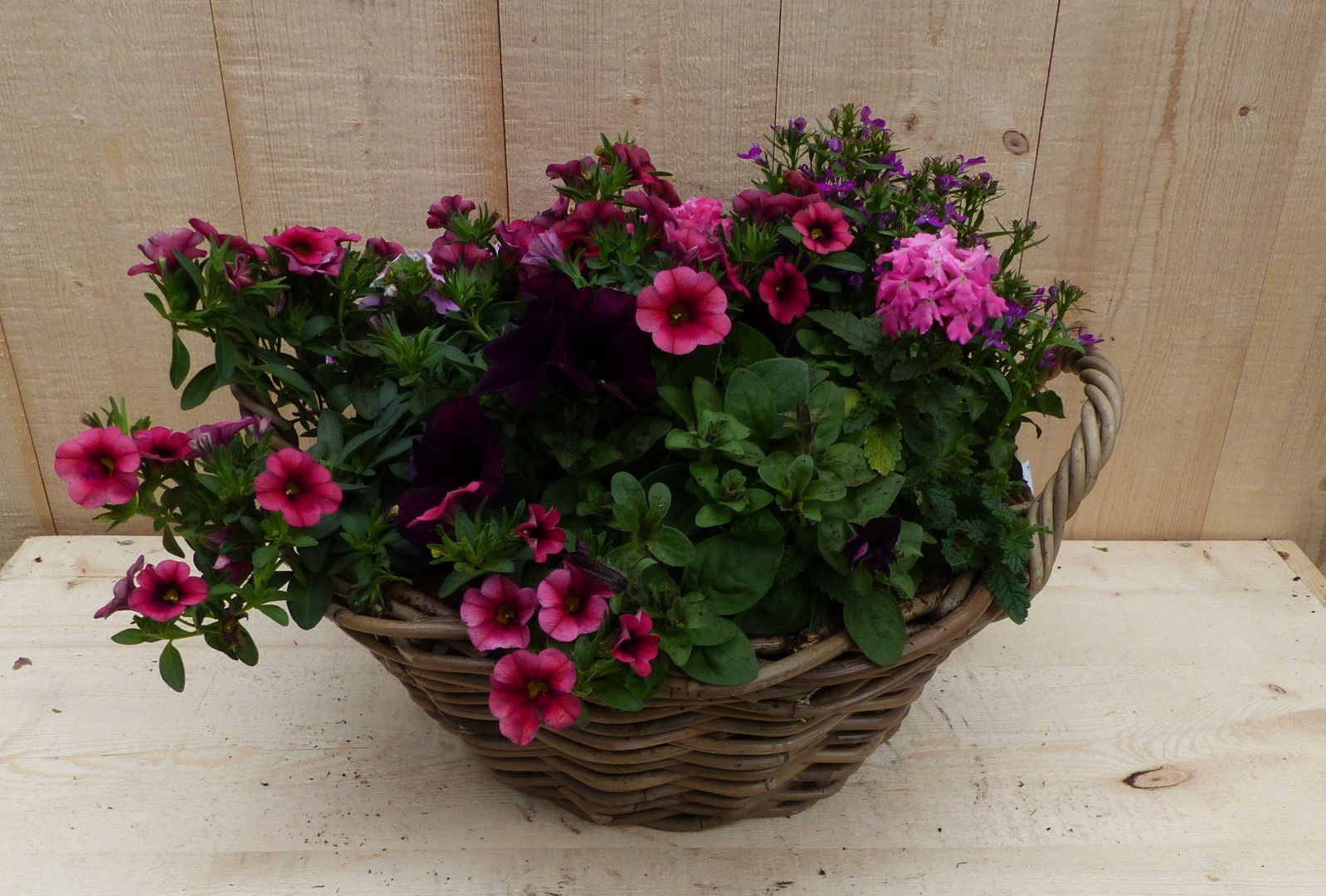 https://cdn.warentuin.nl/media/catalog/product/L/E/LEVE8149900043342_01_warentuin_natuurlijk_plantenbak_rieten_mand_zomerbloeiers__f79d.JPG