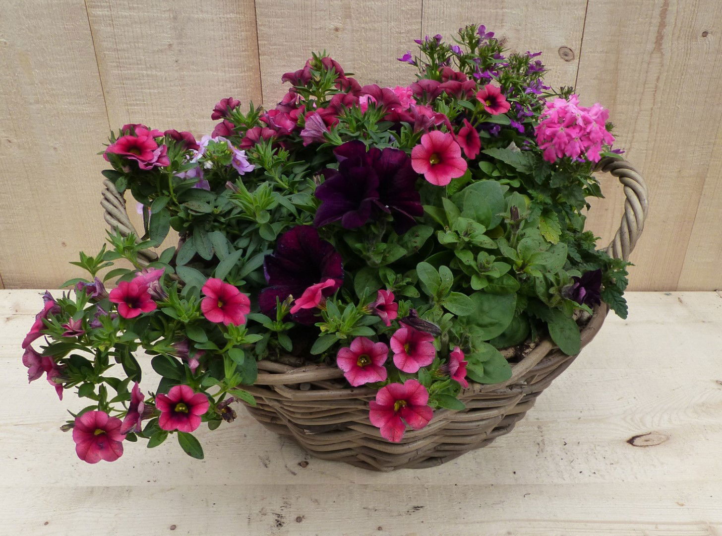 https://cdn.warentuin.nl/media/catalog/product/L/E/LEVE8149900043342_warentuin_natuurlijk_plantenbak_rieten_mand_zomerbloeiers_roz_3a33.JPG