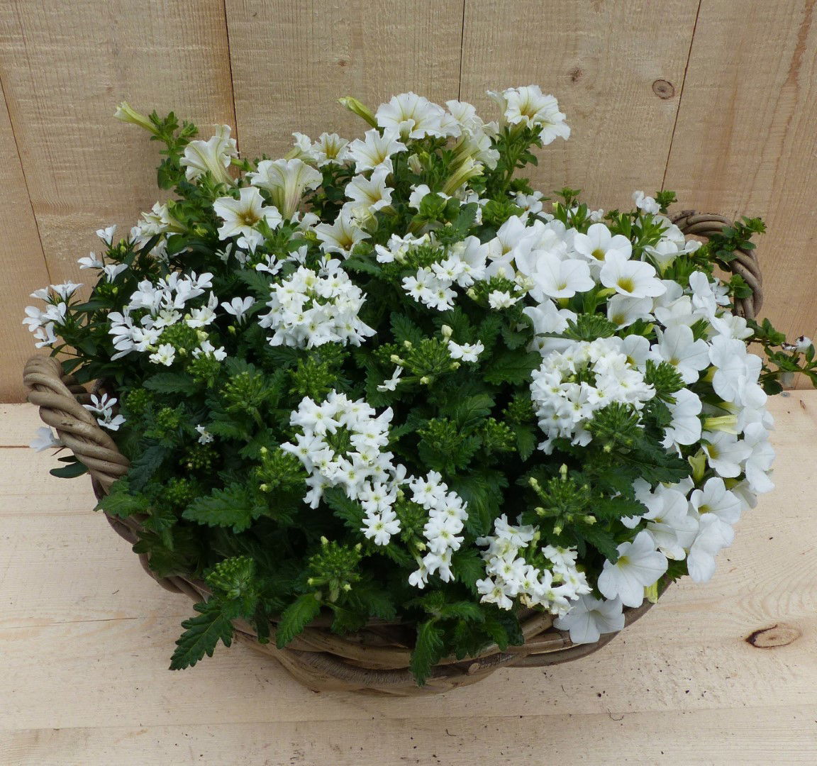 https://cdn.warentuin.nl/media/catalog/product/L/E/LEVE8149900043343_01_warentuin_natuurlijk_plantenbak_rieten_mand_zomerbloeiers__5ef7.JPG