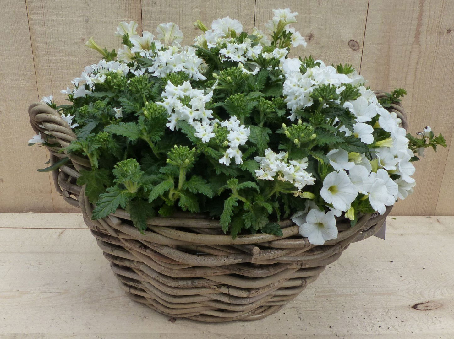 https://cdn.warentuin.nl/media/catalog/product/L/E/LEVE8149900043343_warentuin_natuurlijk_plantenbak_rieten_mand_zomerbloeiers_wit_8cdc.JPG