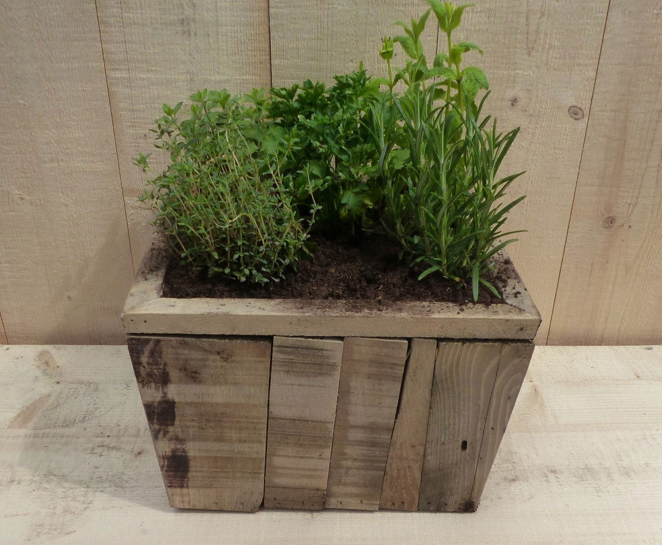 https://cdn.warentuin.nl/media/catalog/product/L/E/LEVE8149900043363_01_warentuin_natuurlijk_plantenbak_keukenkruiden_in_houten_ba_893f.JPG