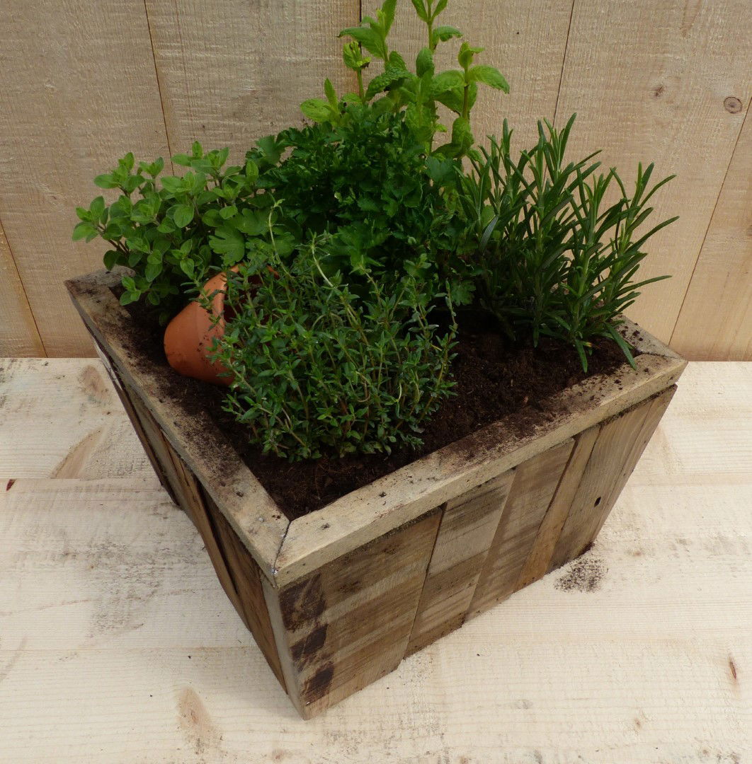 https://cdn.warentuin.nl/media/catalog/product/L/E/LEVE8149900043363_warentuin_natuurlijk_plantenbak_keukenkruiden_in_houten_bak_2_801f.JPG