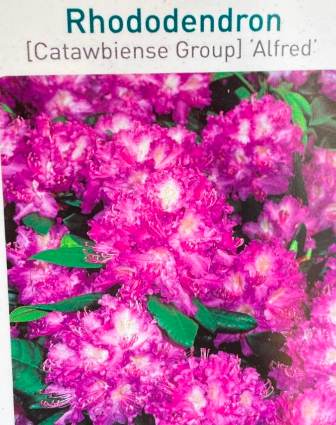https://cdn.warentuin.nl/media/catalog/product/L/E/LEVE9900700064075_01_7d85.png