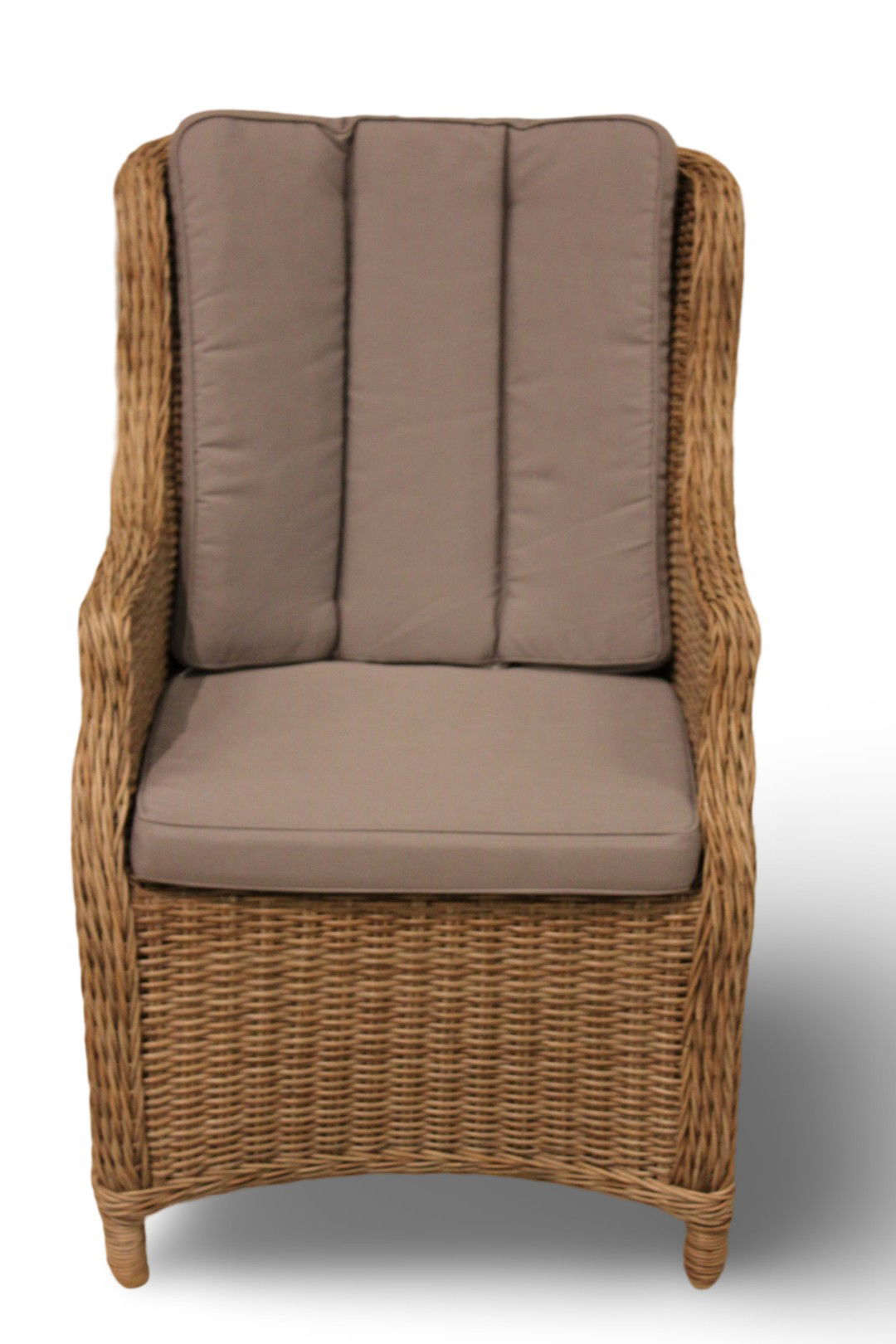 https://cdn.warentuin.nl/media/catalog/product/M/E/MEUB1143000103196_01_darwin_stoel_rotan_grey_eurofleur_aanbieding_a6cb.jpg