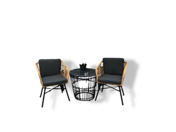 https://cdn.warentuin.nl/media/catalog/product/M/E/MEUB1143000104469_01_driesprong_collection_castro_set_2_stoelen_1_2f0c.jpg