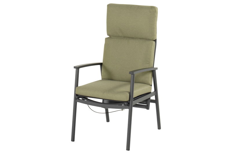 https://cdn.warentuin.nl/media/catalog/product/M/E/MEUB8711268718973_flora_verstelbare_dining_stoel_green_black_hartman_2185.jpg