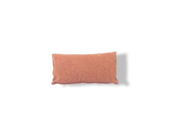 https://cdn.warentuin.nl/media/catalog/product/M/E/MEUB8720087011967_01_4so_kussen_terra_cotta_30_x_60_cm_4so_14d2.jpg