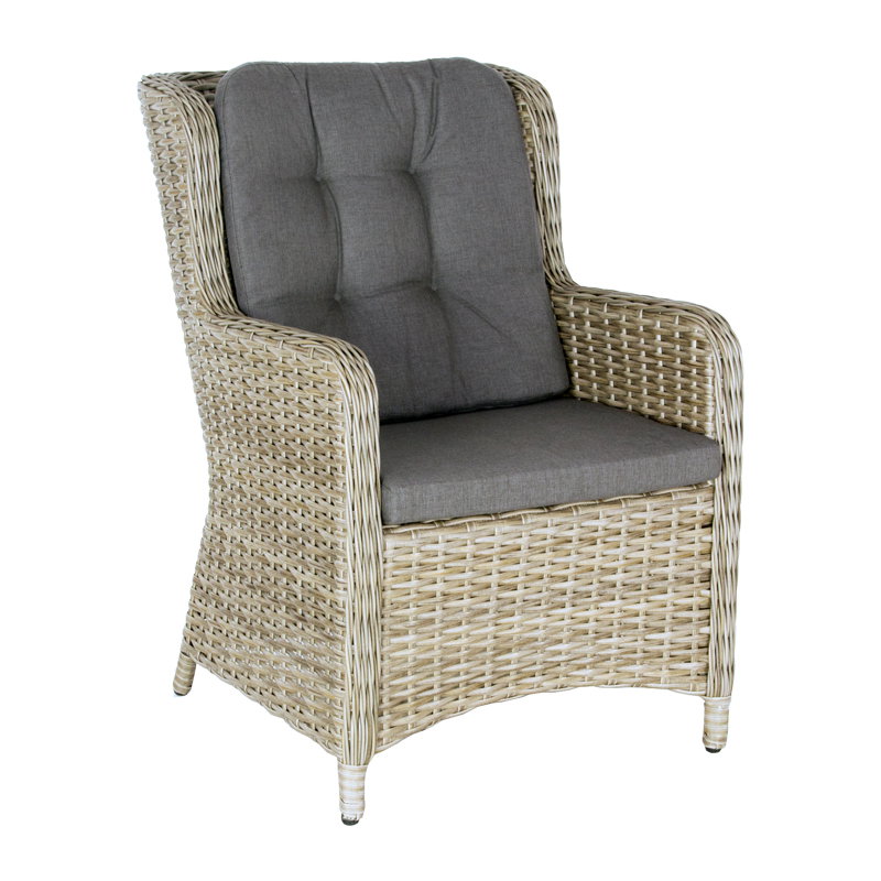https://cdn.warentuin.nl/media/catalog/product/M/E/MEUB9900001260100_oosterik_home_diningstoel_diningstoel_santa_rosa_trout_grey_o_1ccd.jpg