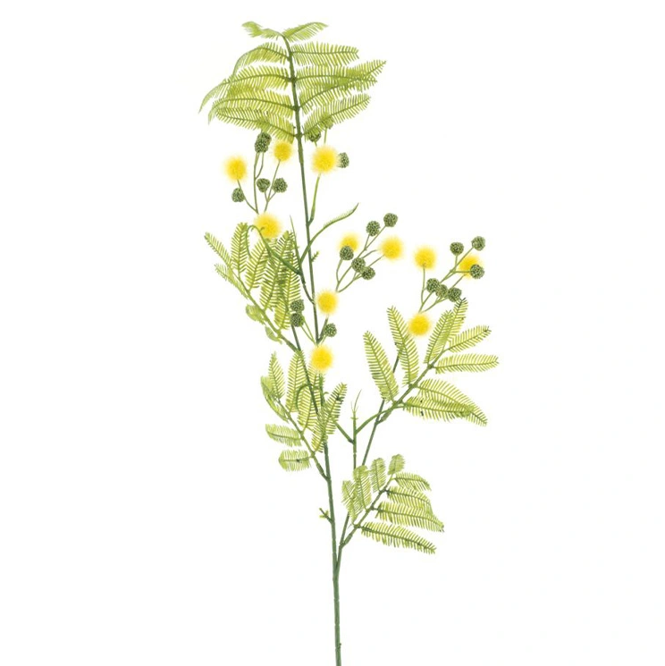 https://cdn.warentuin.nl/media/catalog/product/M/i/Mimosa_spray_Alice_yellow_91_cm_6424.png